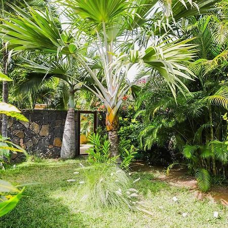Villa Tropicale Balinaise Intimiste Grand Baie Exterior photo